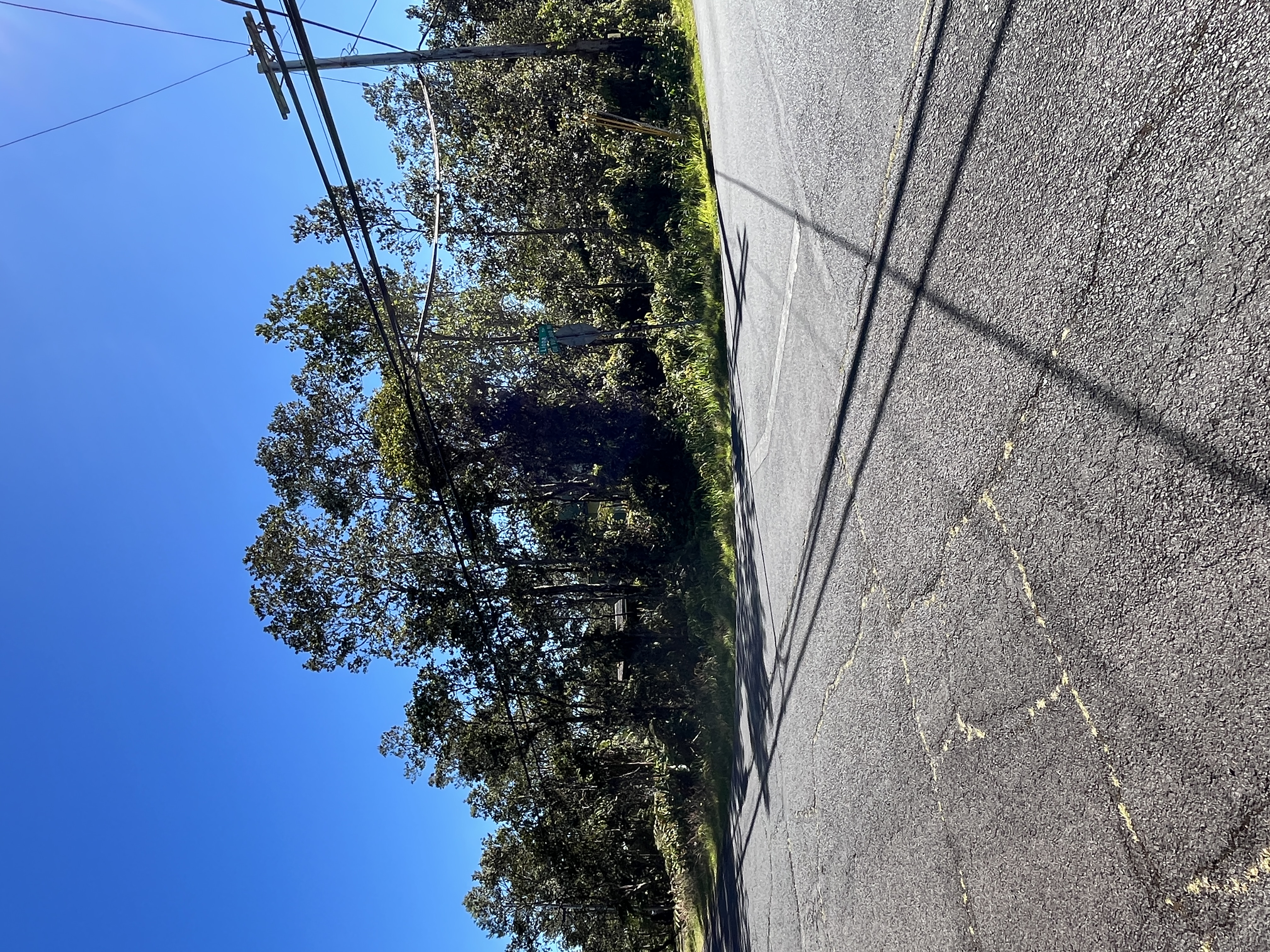 Lot 53b6, Lot 53b6 Volcano, HI 96785 - Photo 1 of 3