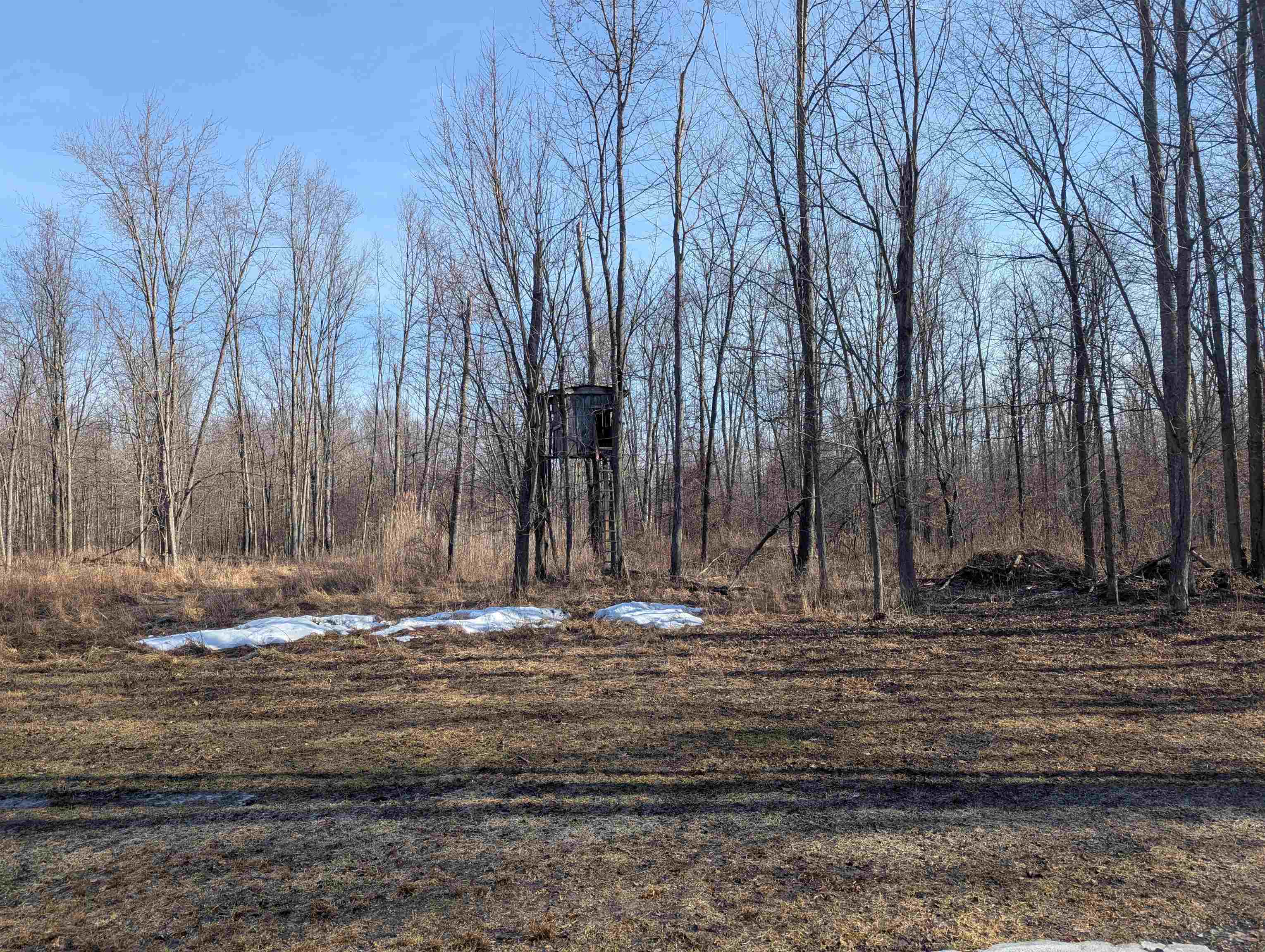 2428 Stowell Road Turner, MI 48765 - Photo 35 of 35