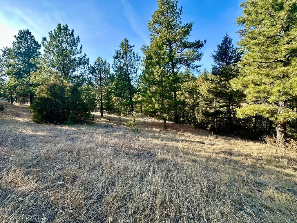 Tbd Martinez Gulch Road Clancy, MT 59634 - Photo 9 of 14 Gallery Image 9