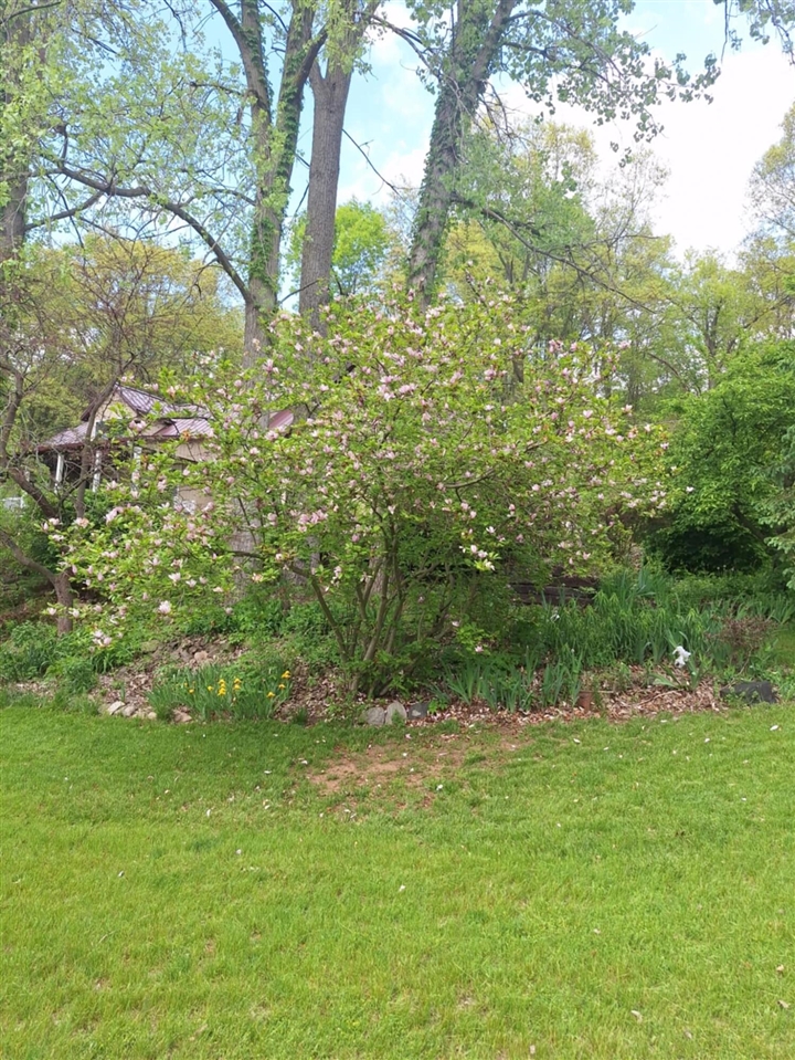 5211 Long Lake Road Reading, MI 49274 - Photo 80 of 99
