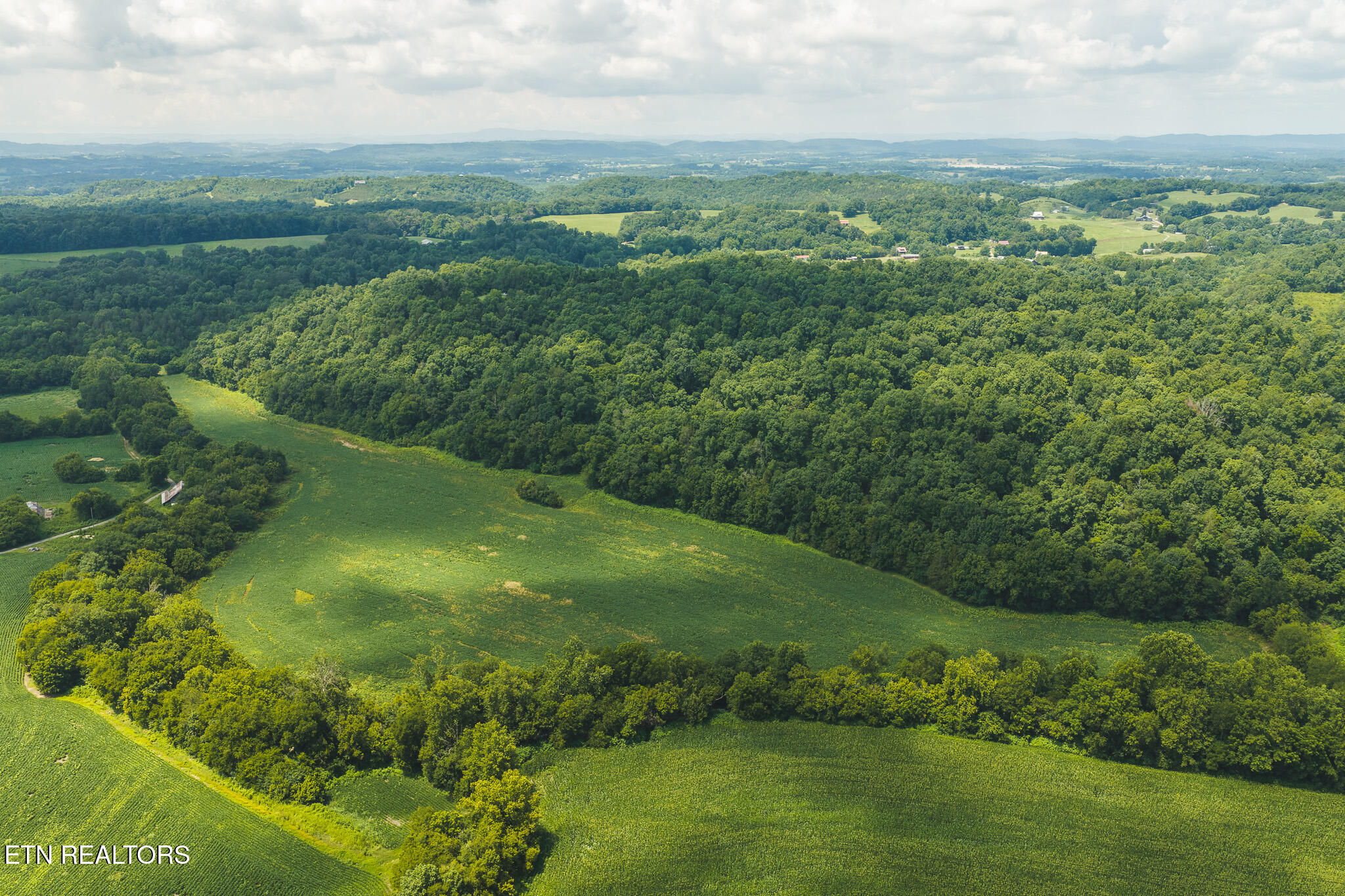 114-acres South Mohawk Road Midway, TN 37809 - Photo 5 of 49 DJI_20260707145422_0444_D - Copy (2)