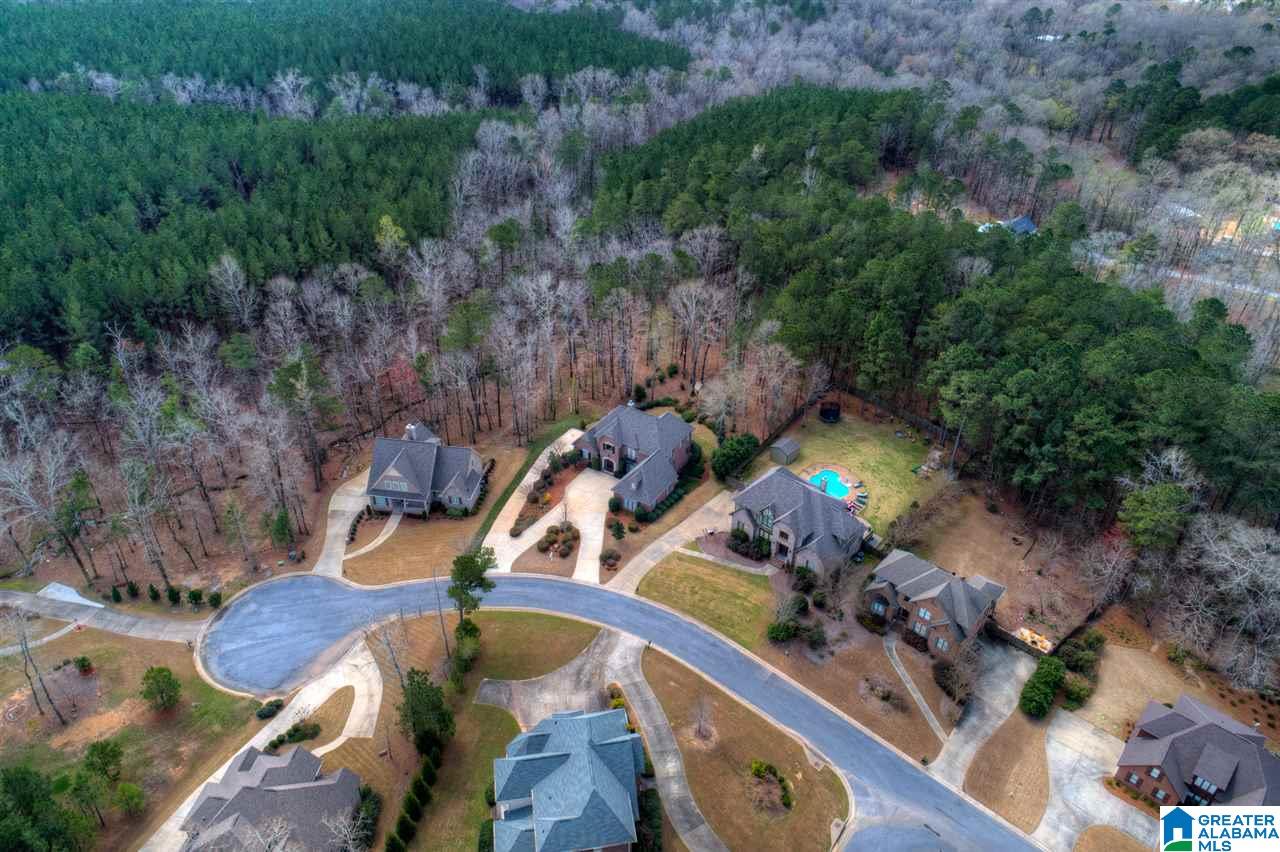 128 Liberty Cove Chelsea, AL 35043 - Photo 45 of 50