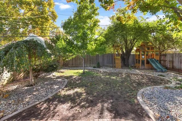 a view of a yard with a tree