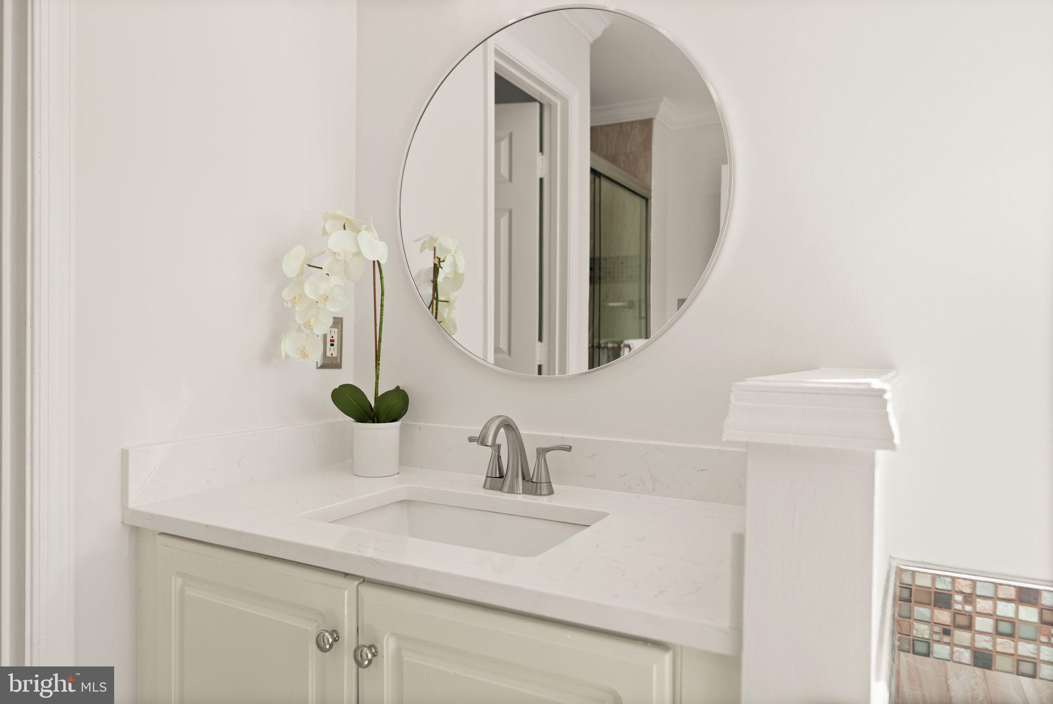 43179 Parkers Ridge Drive Leesburg, VA 20176 - Photo 54 of 108 a bathroom with a sink and a mirror