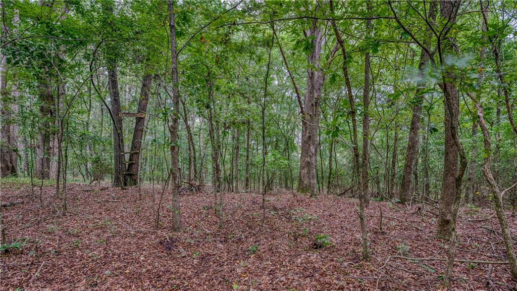 130 Levi Trail Nicholson, GA 30565 - Photo 8 of 10 Gallery Image 8