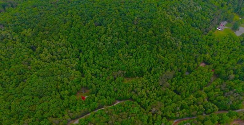 0 Nocona Trail Ellijay, GA 30536 - Photo 12 of 16