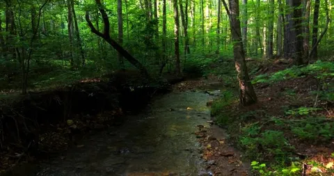 $55,000 | 0 Nocona Trail, Ellijay, GA 30536