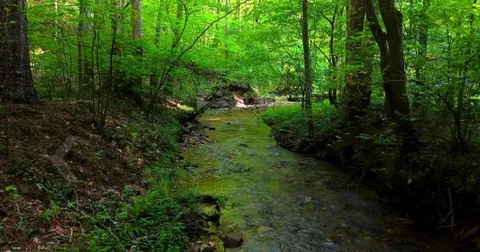 $55,000 | 0 Nocona Trail, Ellijay, GA 30536