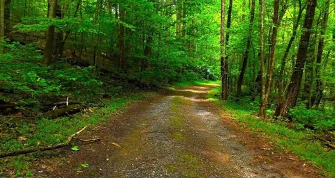 $55,000 | 0 Nocona Trail, Ellijay, GA 30536