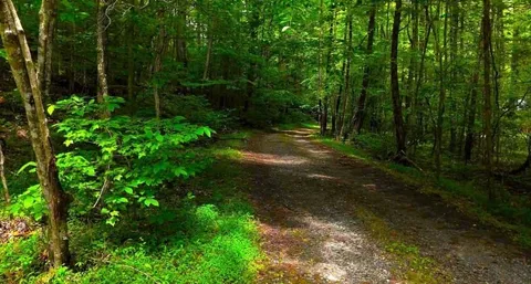 $55,000 | 0 Nocona Trail, Ellijay, GA 30536