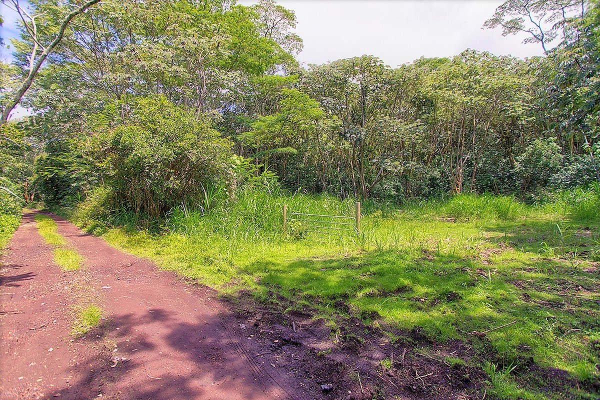 13 Puua-kapoho Road Pahoa, HI 96778 - Photo 3 of 15 Gallery Image 3