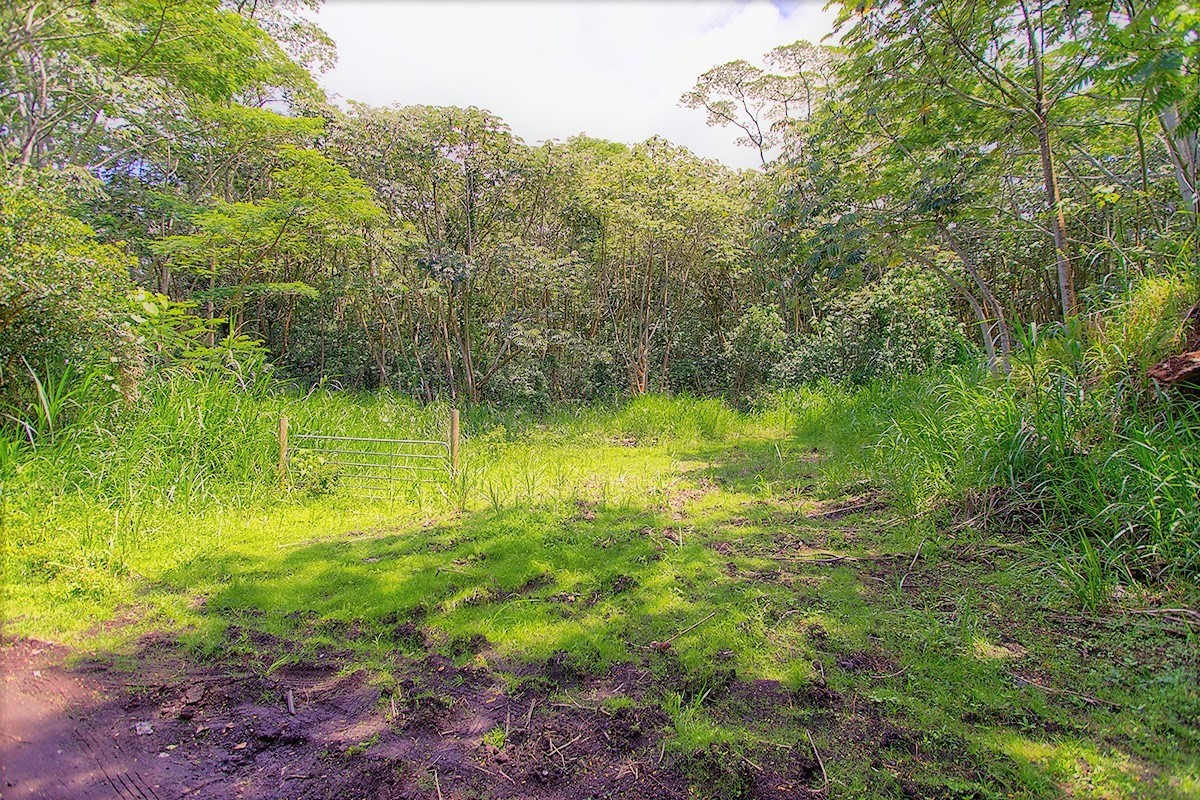 13 Puua-kapoho Road Pahoa, HI 96778 - Photo 4 of 15 Gallery Image 4