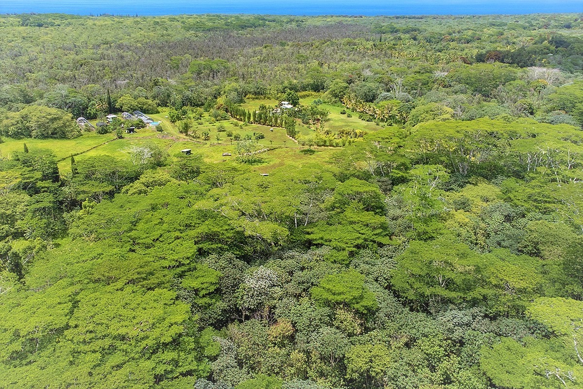 13 Puua-kapoho Road Pahoa, HI 96778 - Photo 10 of 15 Gallery Image 10