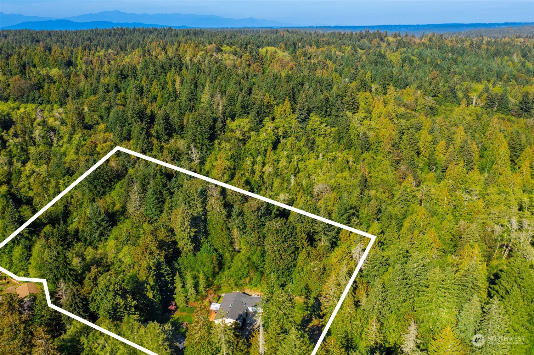 10870 Olalla Valley Road Southeast Olalla, WA 98367 - Photo 3 of 38 Gallery Image 3