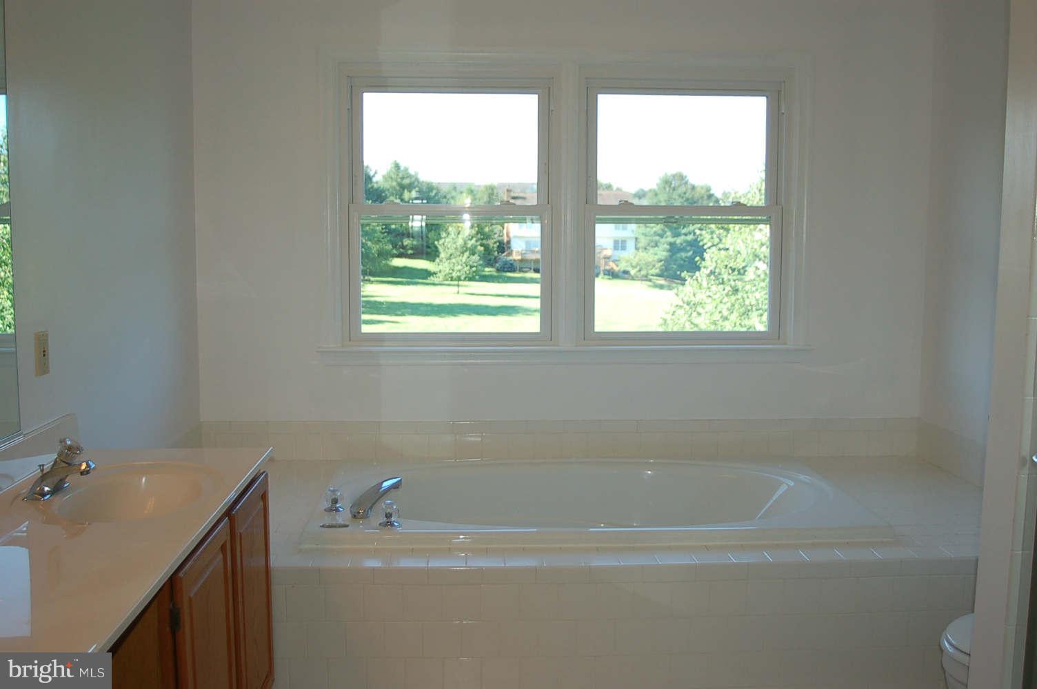 9033 Spring Valley Drive Frederick, MD 21701 - Photo 16 of 29 Bath (Master)