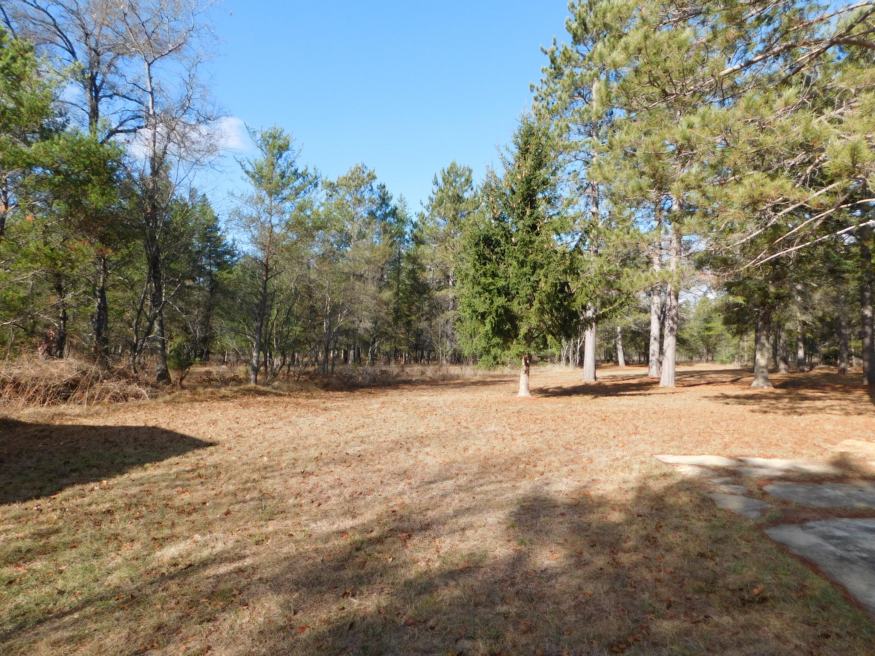 4964 Hi Banks Road Grayling, MI 49738 - Photo 41 of 60 Gallery Image 41