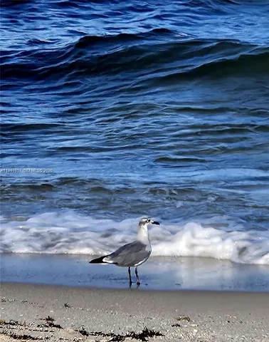 $3,500 | 3140 South Ocean Drive, Unit 1705, Hallandale Beach, FL 33009