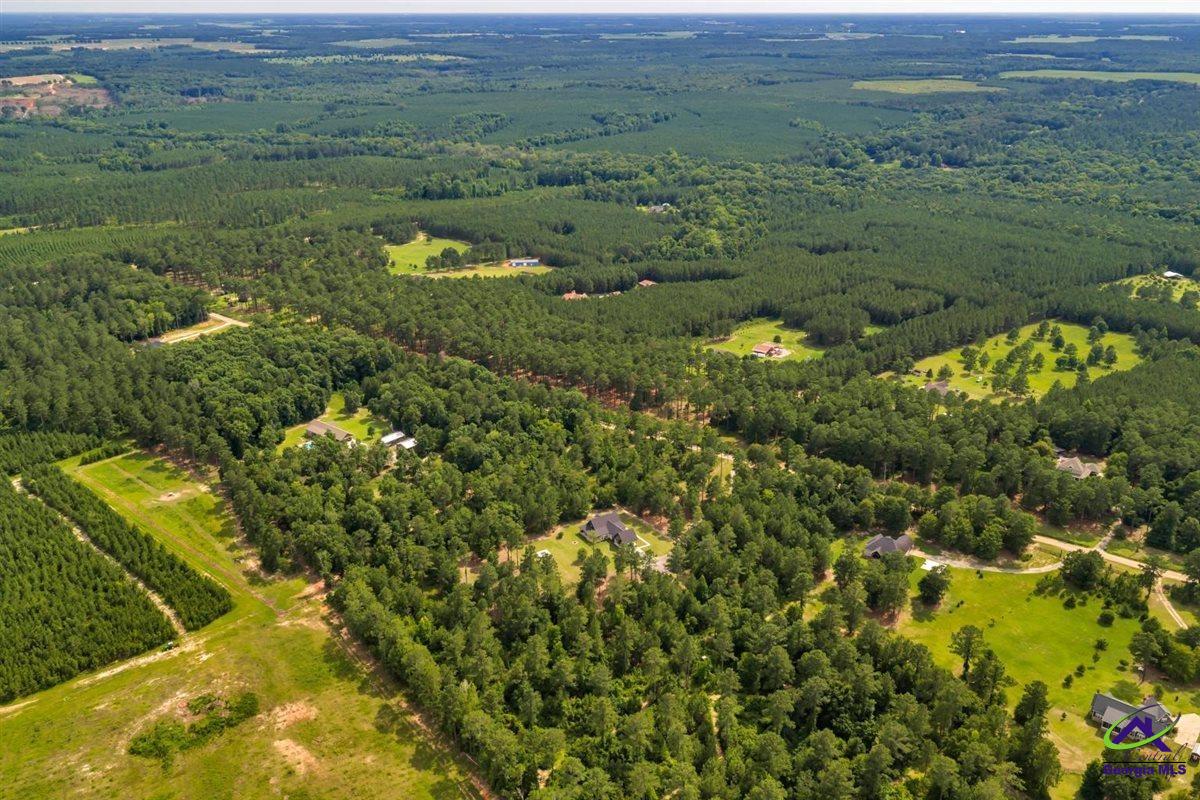 111 Brown Hill Road Elko, GA 31025 - Photo 68 of 74
