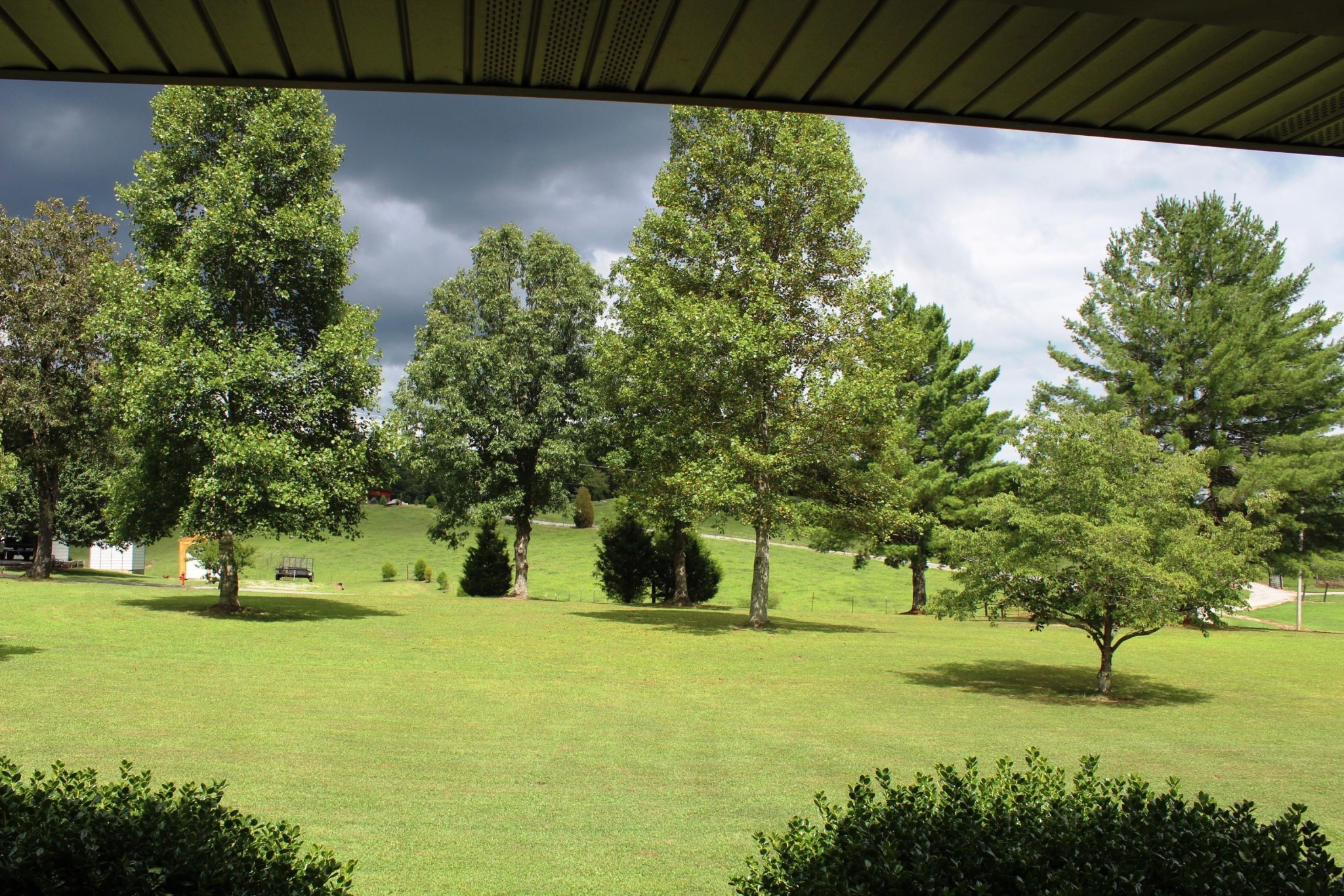 396 Cedar Hills Road Grandview, TN 37337 - Photo 8 of 21 Gallery Image 8
