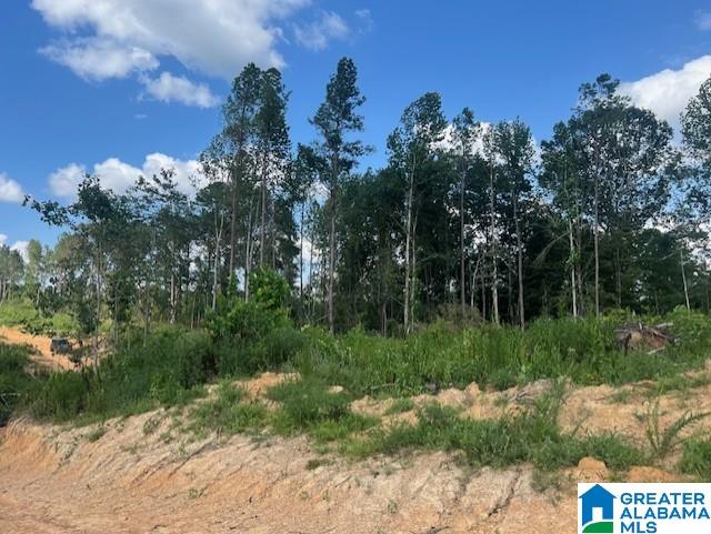 11482 Camp Oliver Road Adger, AL 35006 - Photo 31 of 48
