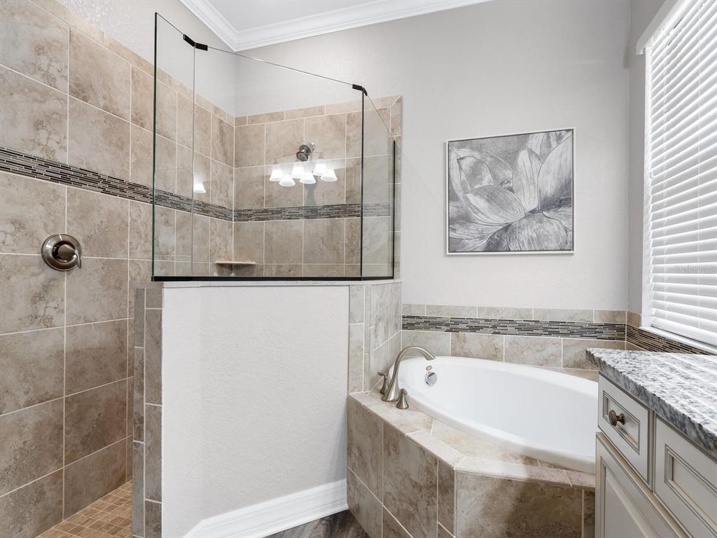 16532 Hillside Circle Lakewood Ranch, FL 34202 - Photo 27 of 67 a bathroom with a bathtub and shower