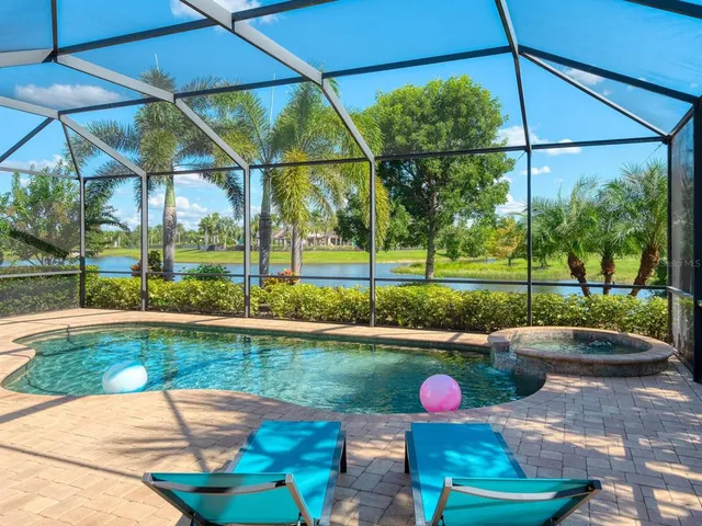 a view of a garden with a palm tree