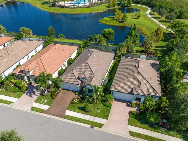 a row of palm trees and swimming pool in the backyard of a house