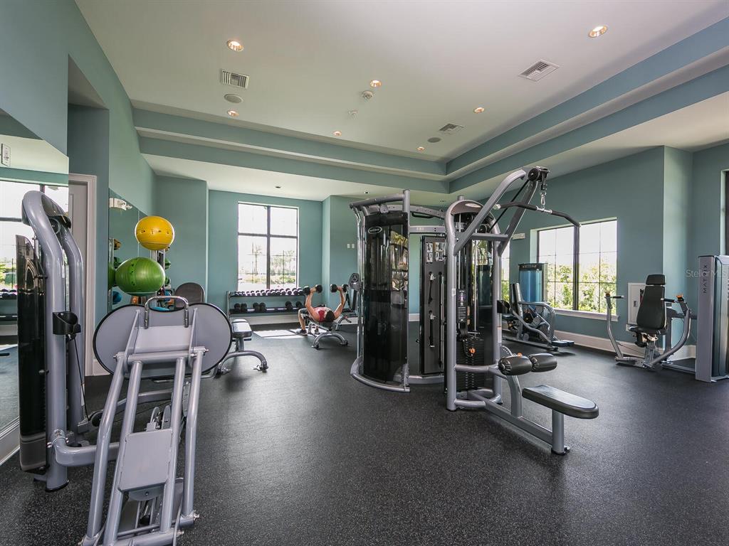 16532 Hillside Circle Lakewood Ranch, FL 34202 - Photo 56 of 67 a view of a room with gym equipment