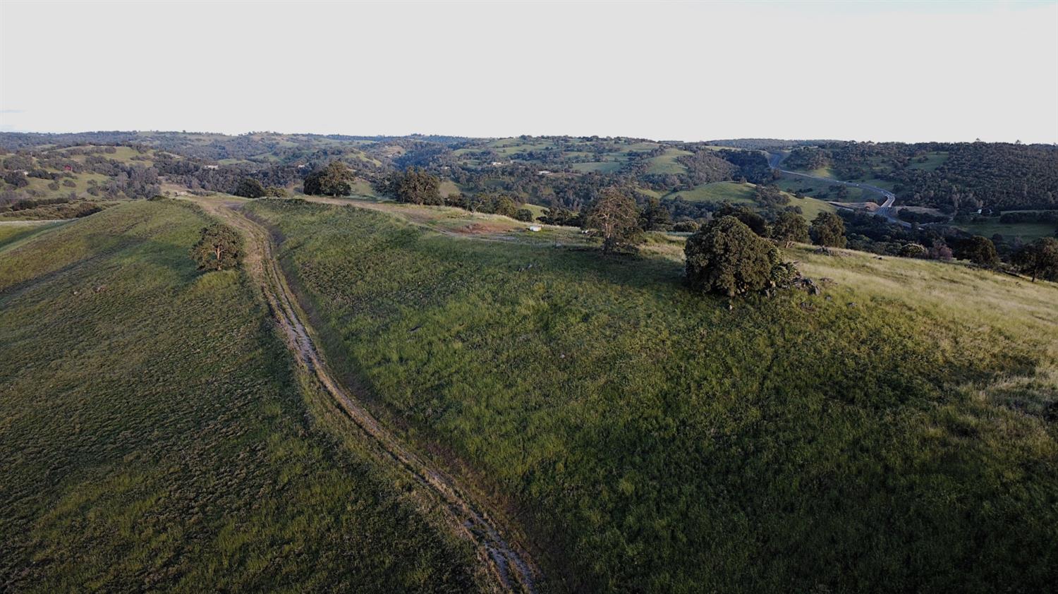 9830 New Chicago Road Drytown, CA 95699 - Photo 11 of 51 a view of a lot of a lush green hillside and a mountain