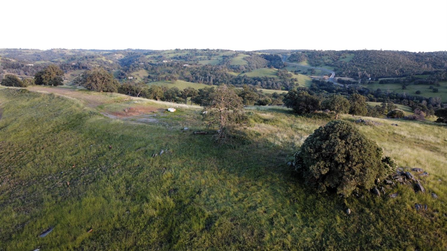 9830 New Chicago Road Drytown, CA 95699 - Photo 13 of 51 a view of a lush green field with lots of bushes