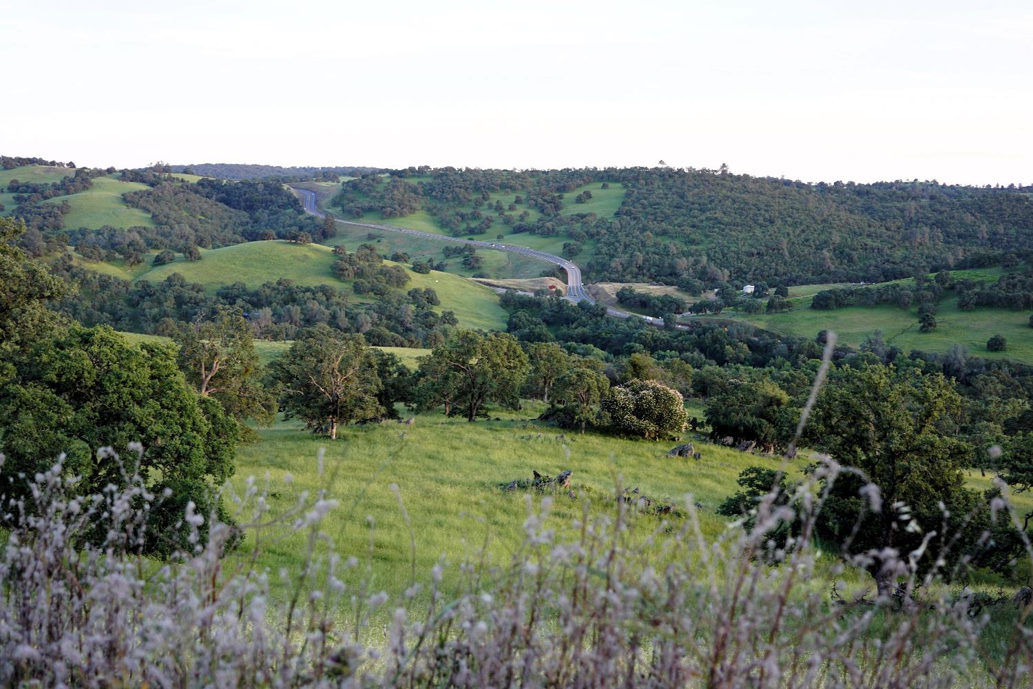 9830 New Chicago Road Drytown, CA 95699 - Photo 22 of 51 a view of a lush green field