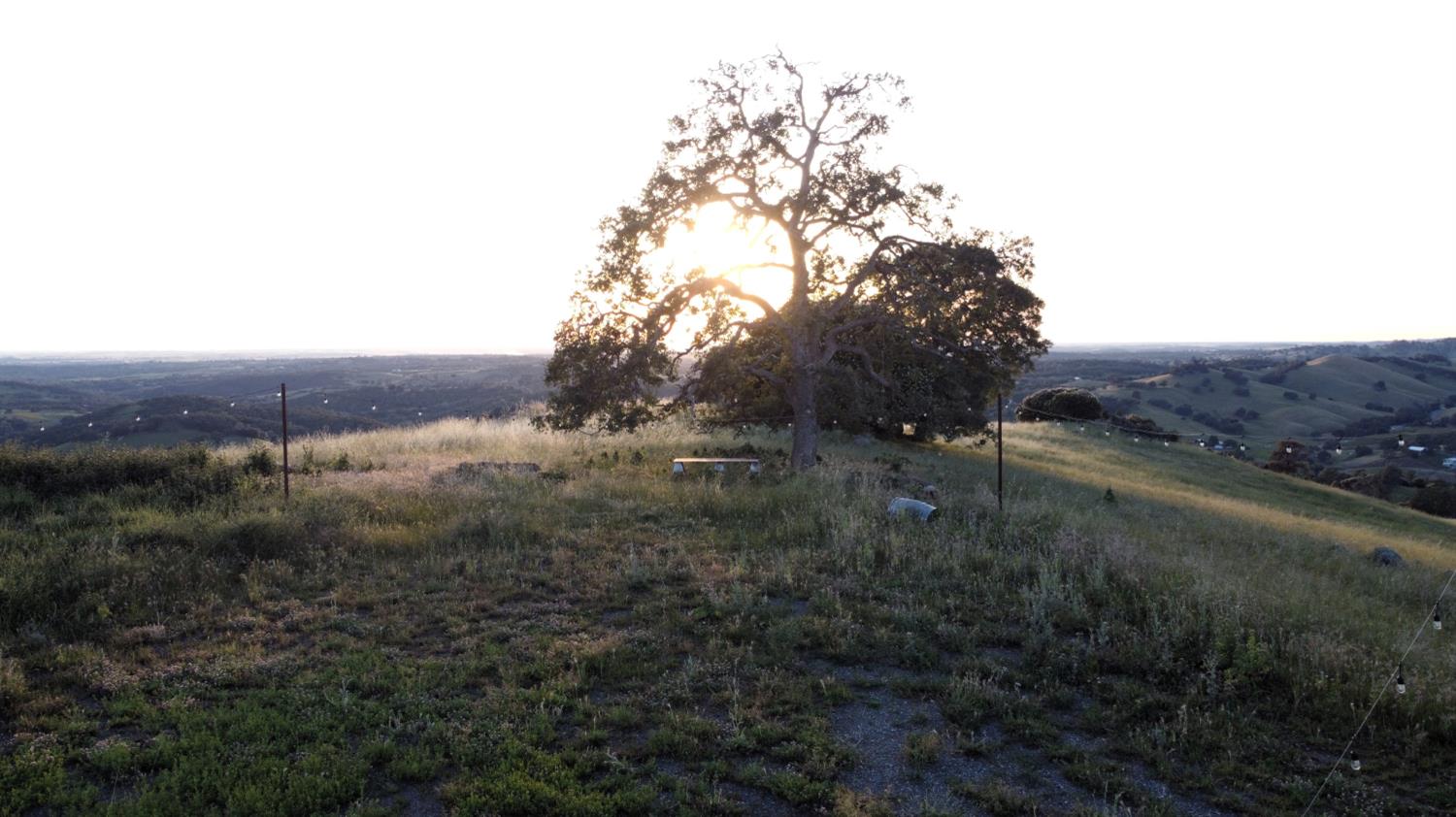 9830 New Chicago Road Drytown, CA 95699 - Photo 25 of 51 a view of a field of grass and trees