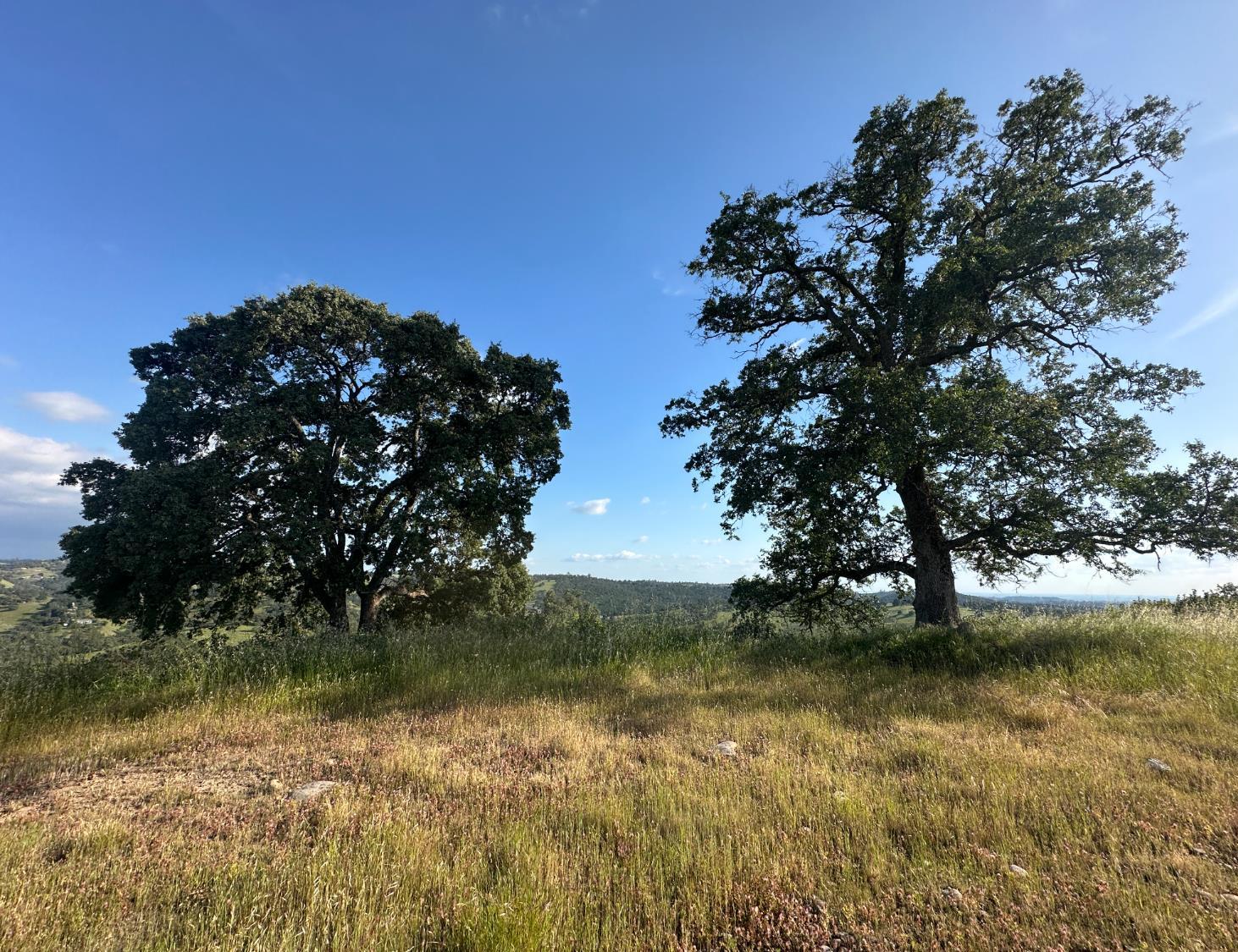 9830 New Chicago Road Drytown, CA 95699 - Photo 36 of 51 a view of lake with green space