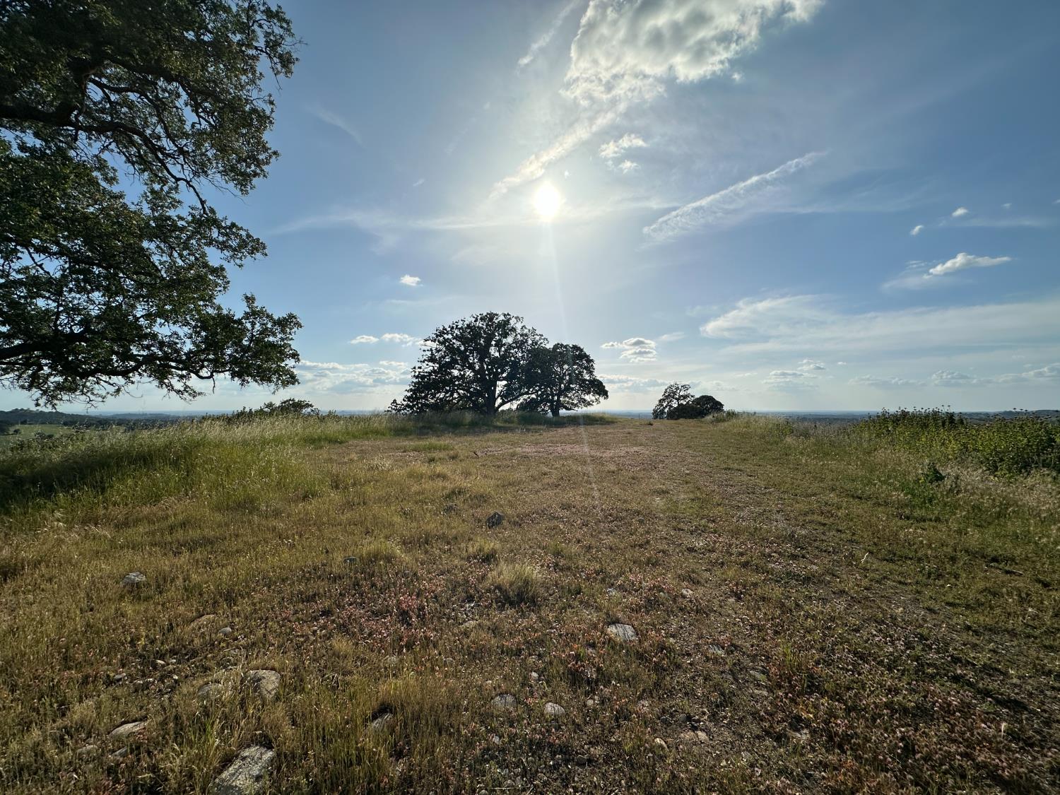 9830 New Chicago Road Drytown, CA 95699 - Photo 37 of 51
