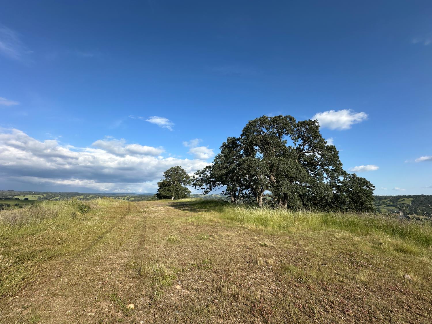 9830 New Chicago Road Drytown, CA 95699 - Photo 39 of 51