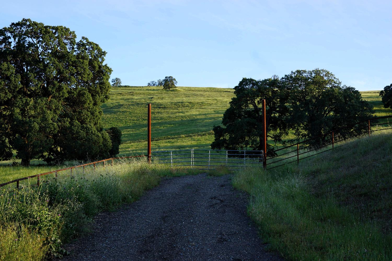 9830 New Chicago Road Drytown, CA 95699 - Photo 4 of 51 a view of a park