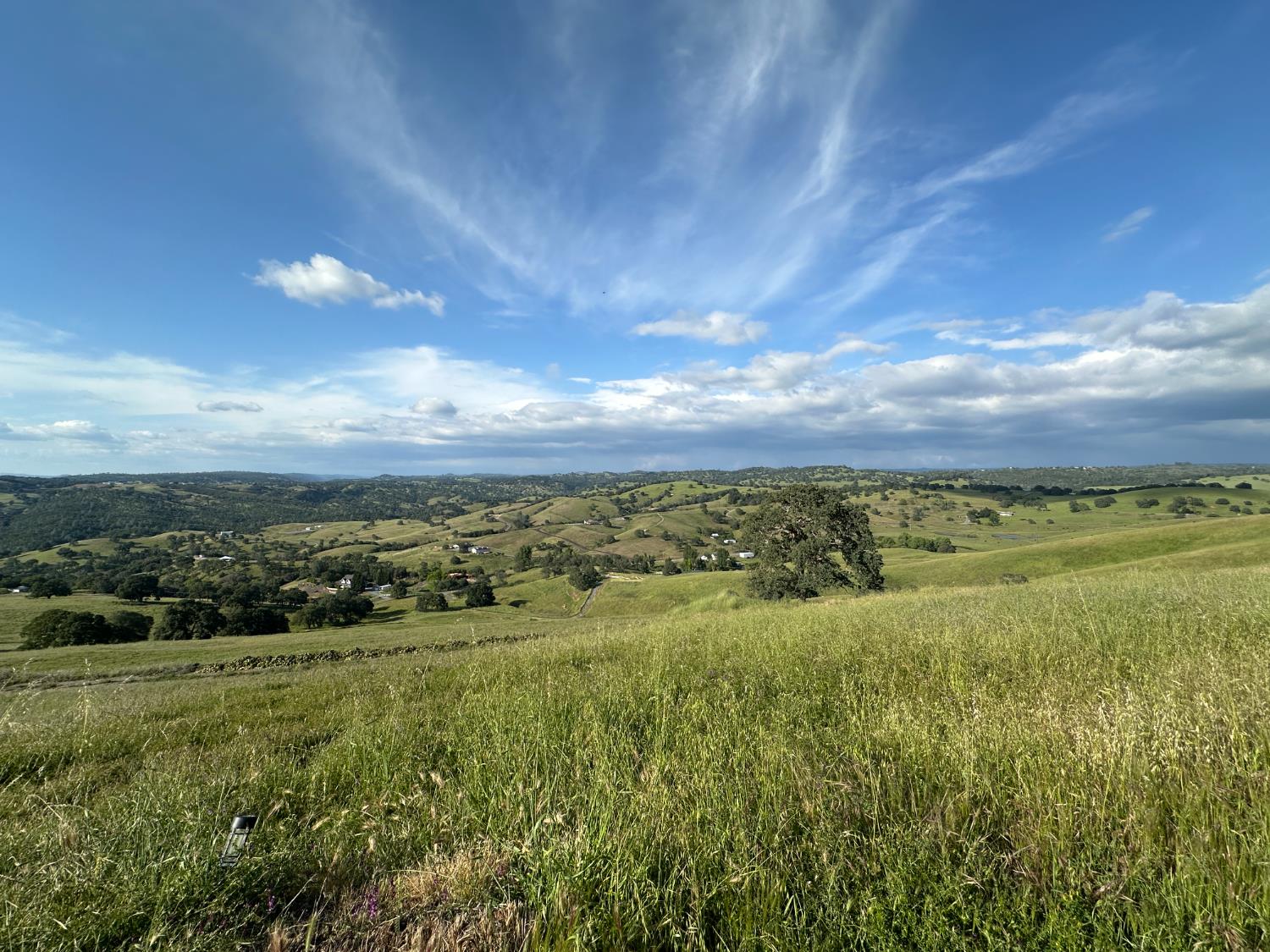 9830 New Chicago Road Drytown, CA 95699 - Photo 44 of 51 a view of a green field