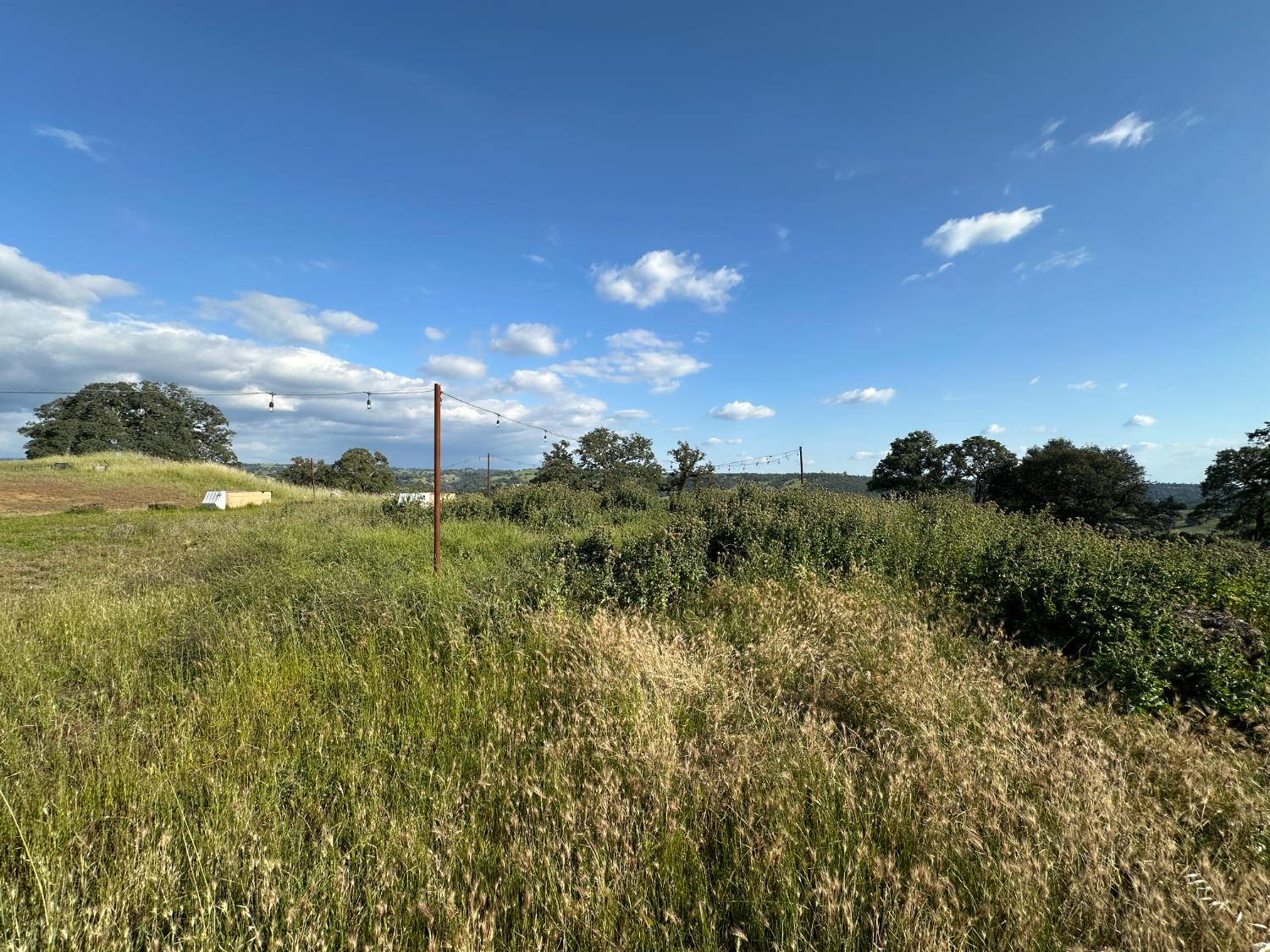 9830 New Chicago Road Drytown, CA 95699 - Photo 46 of 51 a view of a big yard