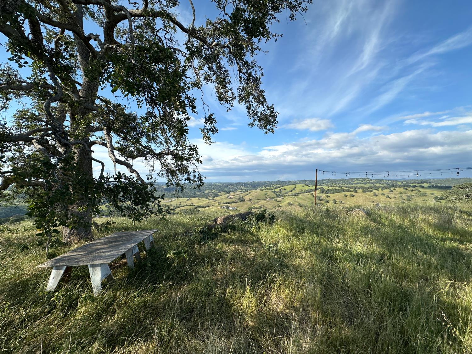 9830 New Chicago Road Drytown, CA 95699 - Photo 47 of 51 a backyard of a house with lots of green space