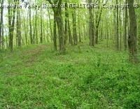 0 Derricks Creek Road Charleston, WV 25320 - Photo 1 of 1 Gallery Image 1