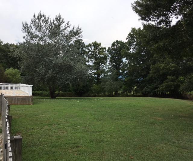 1650 Dickerson Road Goodview, VA 24095 - Photo 27 of 30 a view of a field with trees