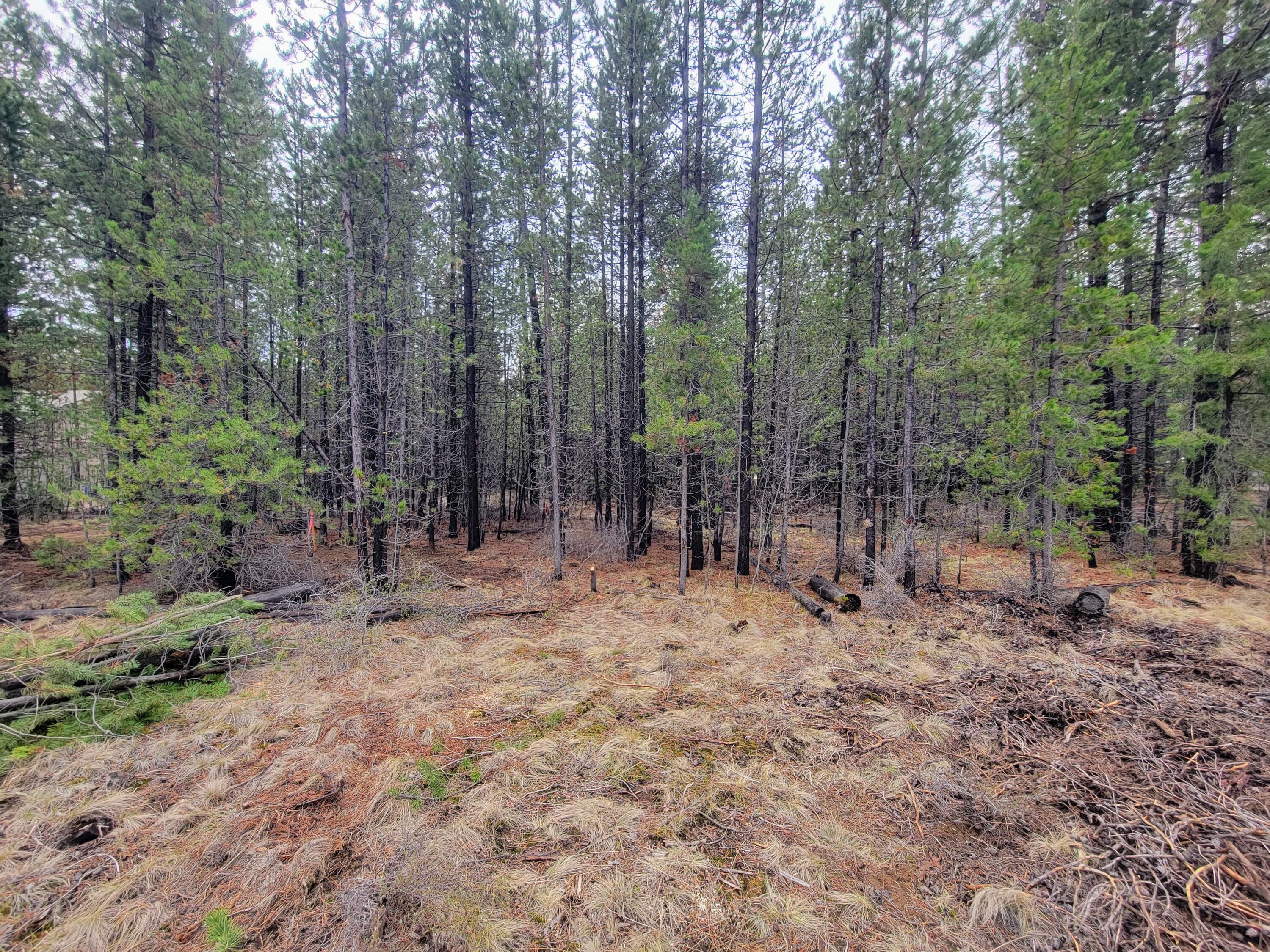 17161 Azusa Road Bend, OR 97707 - Photo 11 of 16 20230509_115854
