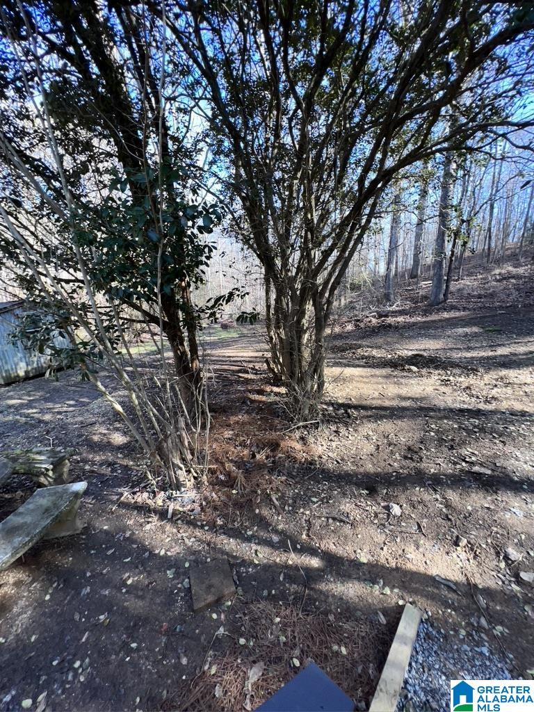 1481 Kelly Drive Pelham, AL 35124 - Photo 31 of 32