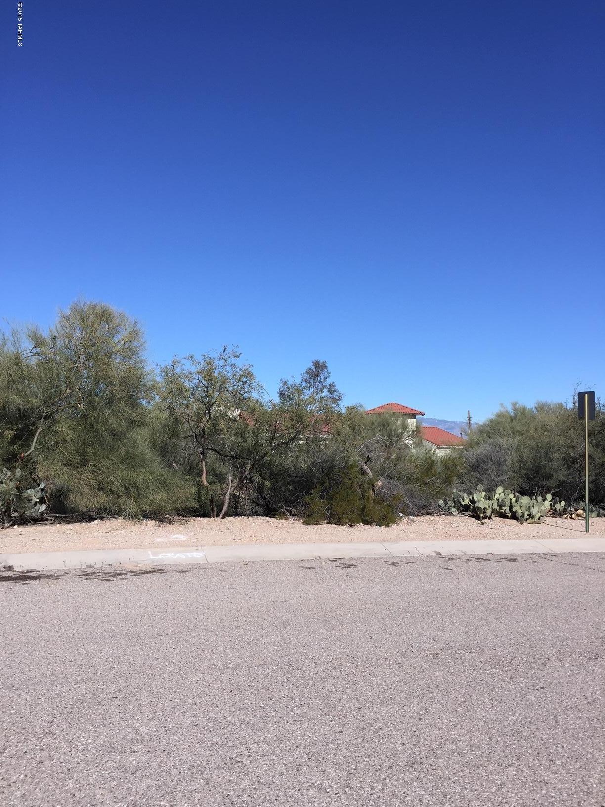 1807 West Donny Brook Road Tucson, AZ 85713 - Photo 37 of 38 Gallery Image 37