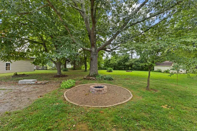 a view of a swimming pool with a garden