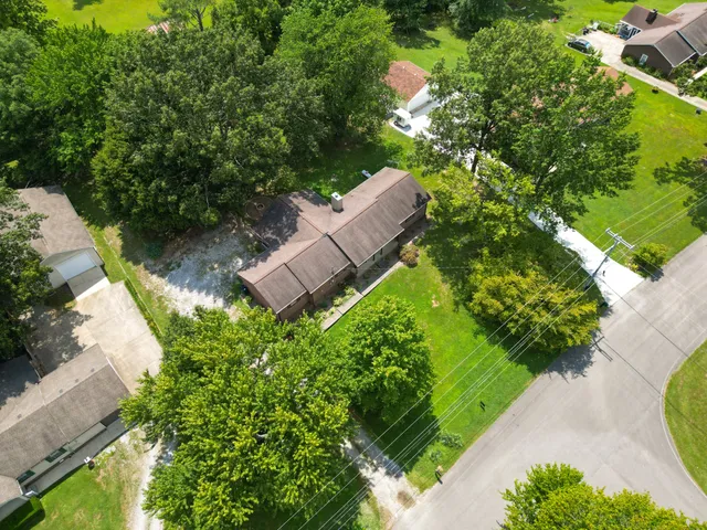 a view of a garden with plants
