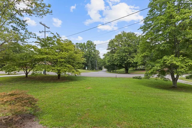a view of a trees in a yard