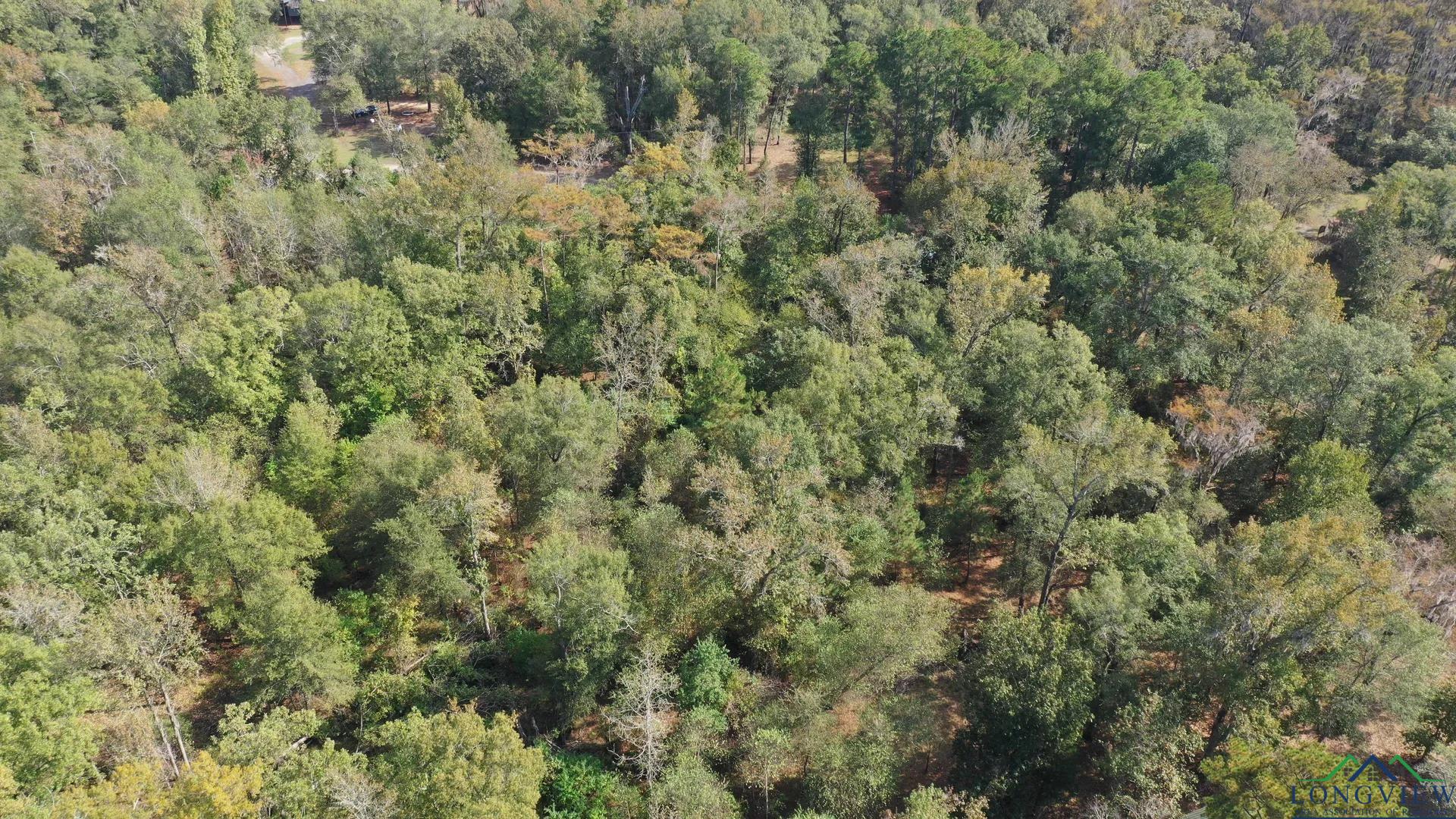 0 Jackson Arms Road Karnack, TX 75661 - Photo 4 of 9 Gallery Image 4