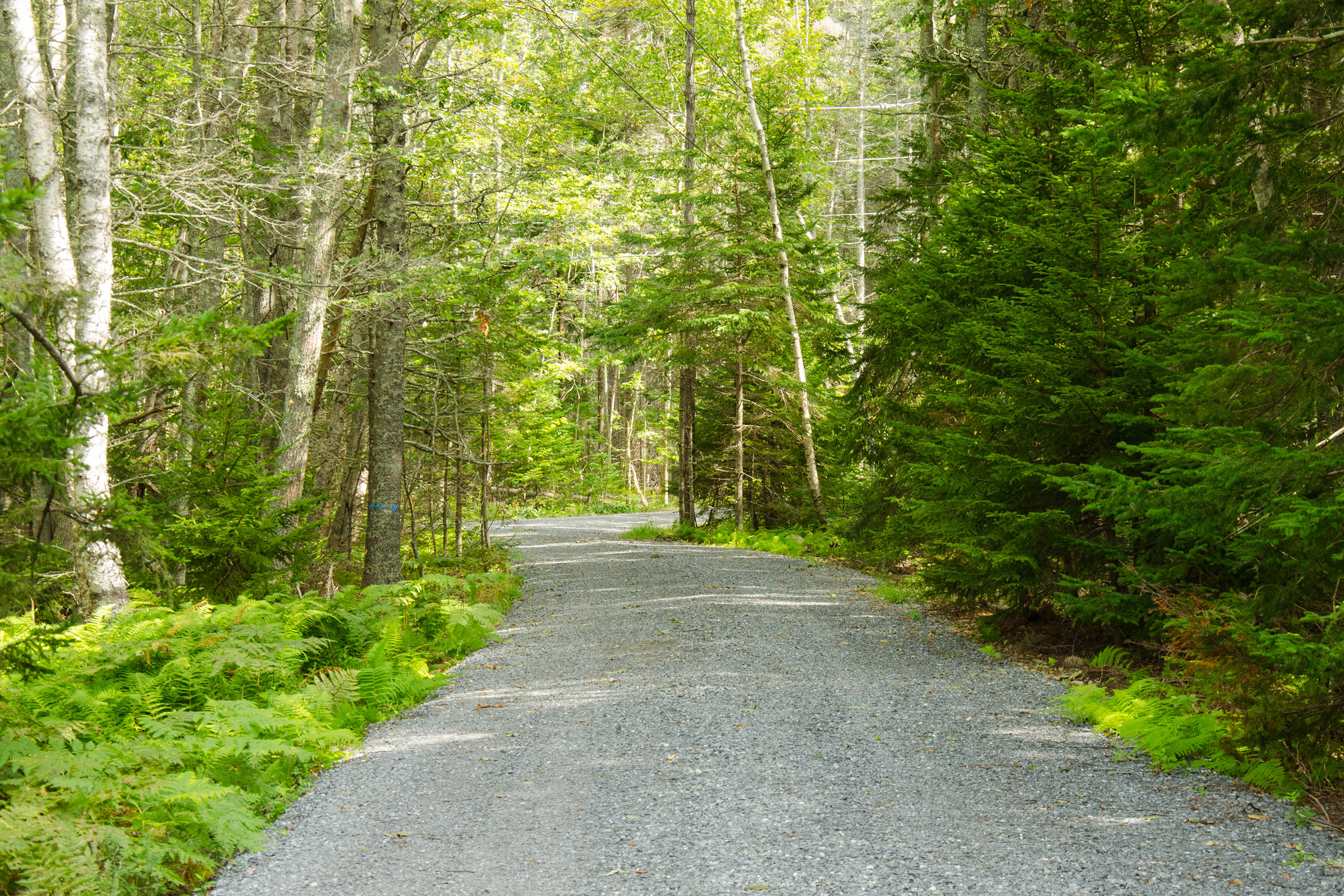 22 Old Stonewall Road Boothbay Harbor, ME 04538 - Photo 24 of 25 crop - DSC_8266