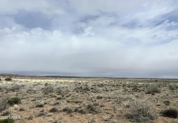 $13,947 | 205 County Road, Concho, AZ 85924